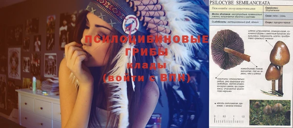 трава Беломорск