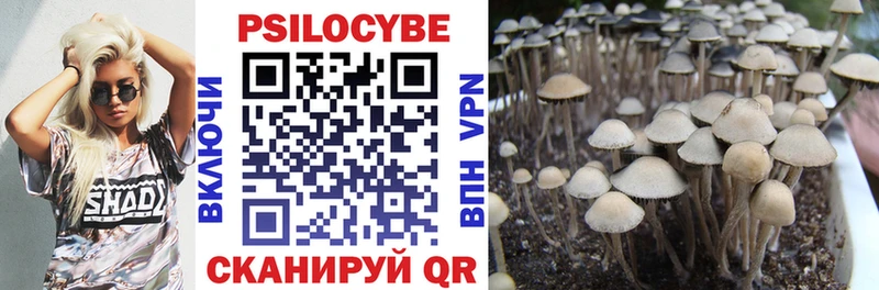 Псилоцибиновые грибы ЛСД  купить наркотик  KRAKEN   Заволжье 